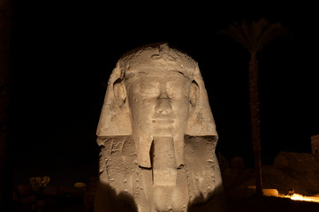Fototapeta na wymiar Large sphinx in night at ancient egyptian temple of Luxor