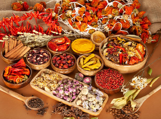 Various dried medicinal herbs. Natural Herbal Medicine Selection.