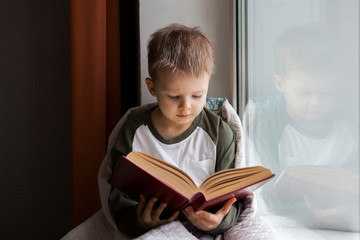 Cute little boy reading book while sitting on window sill.