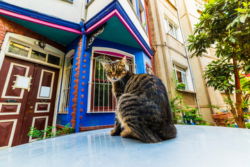 Historical colorful houses in KUZGUNCUK. Kuzguncuk is a neighborhood in the Uskudar district in Istanbul, Turkey. .