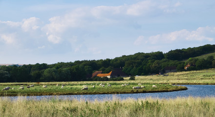 Hills. Seven Sisters natural park. Sussex. England