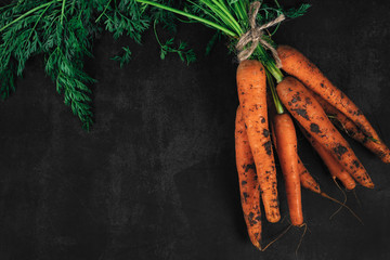 Top view of bouquet of fresh carrots with green leaves on a dark background with space for text....