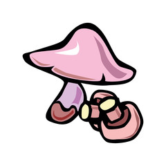 Different types mushroom, different size champignon. Mushroom champignon consisting of porous hat, long leg in EPS10