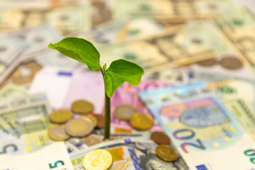 pile of euro coins & euro & USA paper money note with baby plant on top for business, saving, growth, economic concept