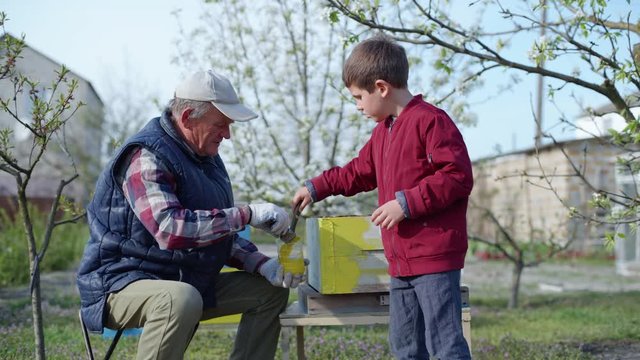 mutual assistance, a small hardworking male child, together with his elderly grandfather, paints an old beehive with paint on a apiary during spring season on a warm sunny day