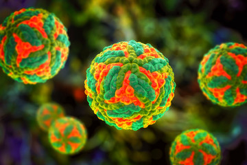 Fototapeta premium Saint Louis encephalitis virus