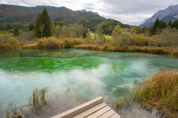 Zelenci - Sava river spring in Slovenia - obrazy, fototapety, plakaty