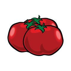 Pair red ripe tomato vector illustration. Isolated white background in EPS10