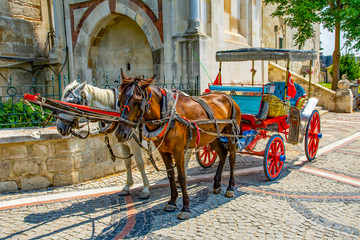 Fototapeta na wymiar Horse carriage in old town, Turkey