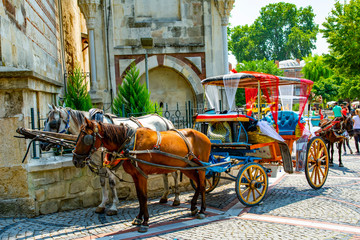 Horse carriage in old town, Turkey