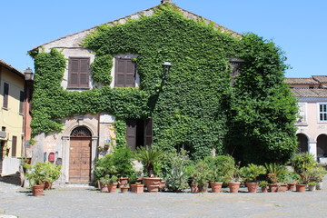  house covered with creepers in street of old town near rome italy