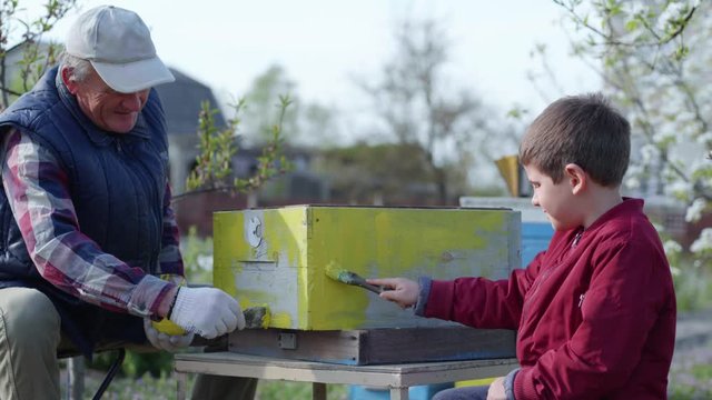 male elderly man beekeeper with his grandson using special paint and brush to paint wooden boards, preparation of a bee hive for summer while working on a warm spring day in apiary