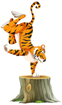recommend clip art: Tiger standing on one hand