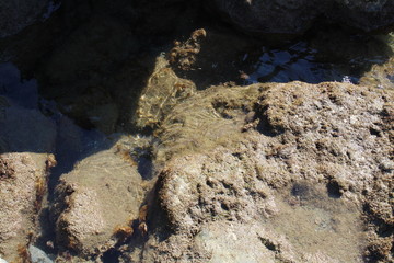 stone in the cave