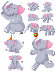 Set of elephant cartoon character