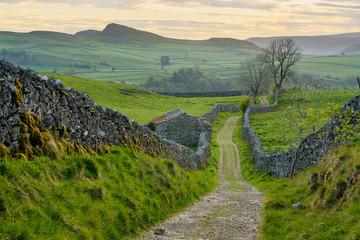 Fototapeta na wymiar Path runing through the Yorkshire Dales enclosed by drystone walls
