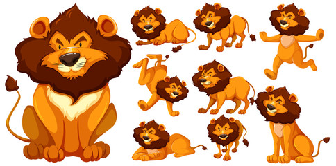 Set of lion cartoon character