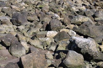 stone wall with moss