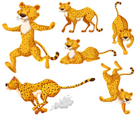 Set of cheetah cartoon character © blueringmedia