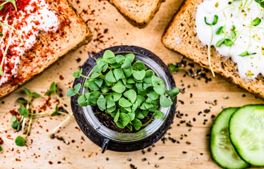 Small jar with basil microgreen sprouts and sandwiches with cream cheese, microgreens, cucumber and spices on cutting board. Healthy eating, diet vegan food background. Top view. Focus on sprouts.