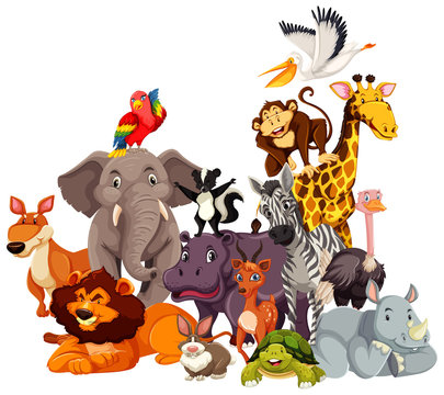 Group of wild animals cartoon character