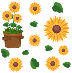 Set of cute sunflowers in flowerpot and leaf