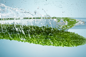 美味しそうなゴーヤ