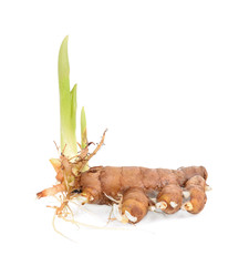 Fresh galangal isolated on white background.