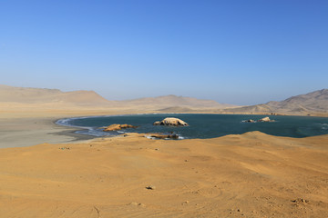 The splendid natural reserve of Paracas, Peru