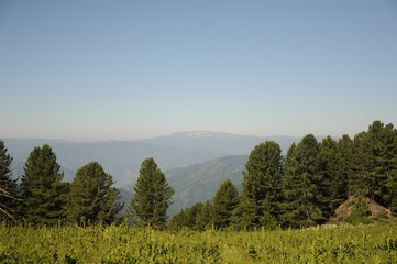 Panorama of a meadow with grass, lines of trees and mountain peaks on the horizon