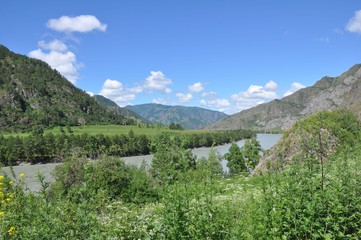 Fototapeta na wymiar The Katun River flows among the top Altai Mountains