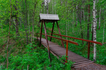 Wooden bridge over a small brook deep in the forest