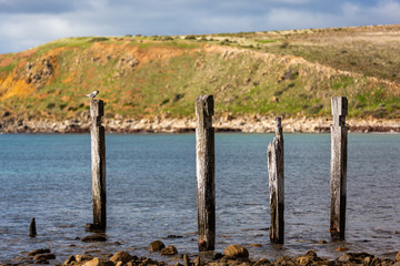 Fototapeta na wymiar The iconic jetty ruins located on the Myponga beach on the Fleurieu Peninsula South Australia on the 24th May 2020