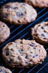 chewy and bittersweet chocolate oatmeal cookie