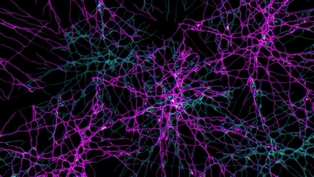 Neurotic connection. Detailed three-dimensional connection between neurons or, possibly, aliens.