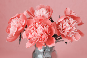 Large blooming coral  peonies in a glass jar © Aleksandra