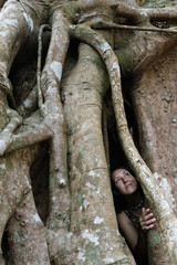 Portrait of the traveler woman admiring and peeping from behind banyan tree trunks