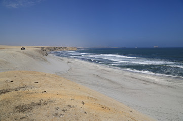 The splendid natural reserve of Paracas, Peru
