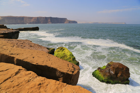 The splendid natural reserve of Paracas, Peru