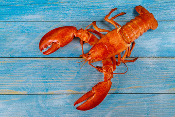 Delicious red lobster seafood on blue old wooden table.