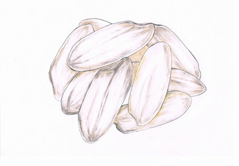 The art painting with colour pencil or pastel of white rice.