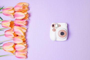 bouquet of tulips and brown camera on purple baackground