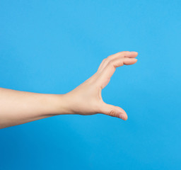 female hand holds a conditional subject on a blue background