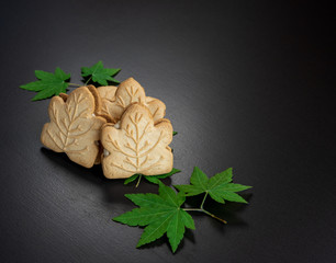 Canadian maple cookies with spring leaves isolated on dark background