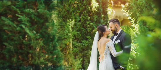 beautiful bride and groom in the nature - obrazy, fototapety, plakaty