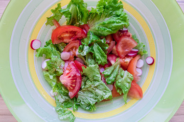 vegetable salad of tomato, cucumber, radish and lettuce seasoned with olive oil. healthy eating concept