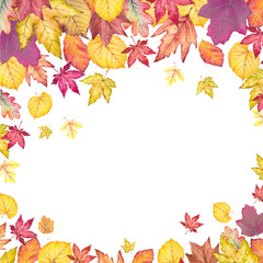 Colorful autumn leaves frame.