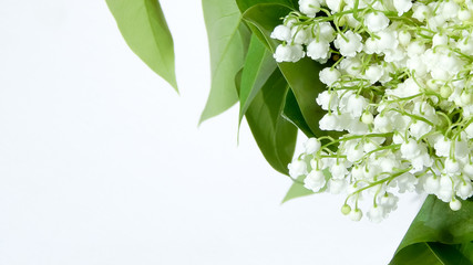                bouquet of white lilies of the valley with green leaves on a white background                