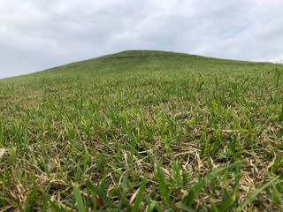 小さな山