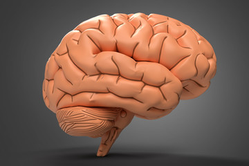 3d illustration of human brain made of clay